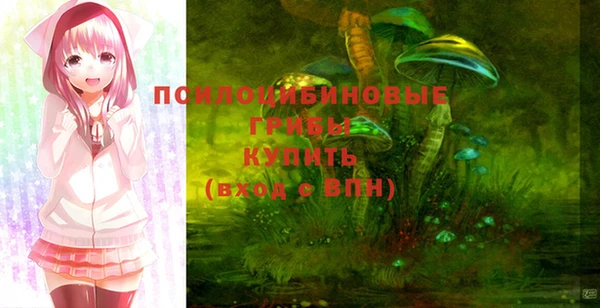 Альфа ПВП Аркадак